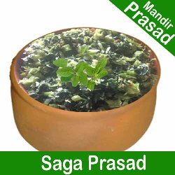 Saga Muga  Prasad